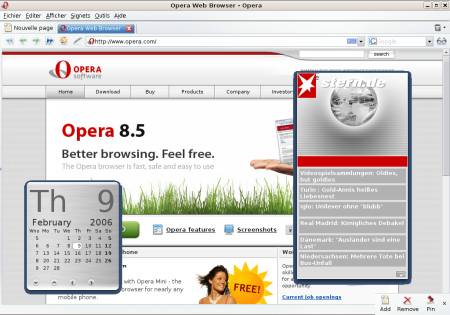 Capture d'Opera 9.0 avec les Widgets activés