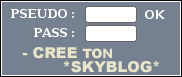 Panneau "Crée ton Skyblog"