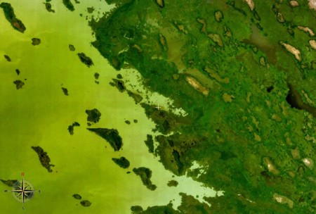Photo Satellite du bord est du lac Tchad