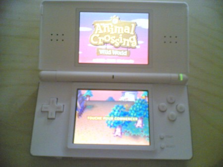 Photo de ma DS avec Animal Crossing de lancé.
