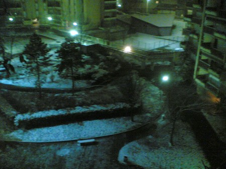 Le jardin recouvert de neige dans la nuit.