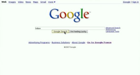 Google kitten's search click
